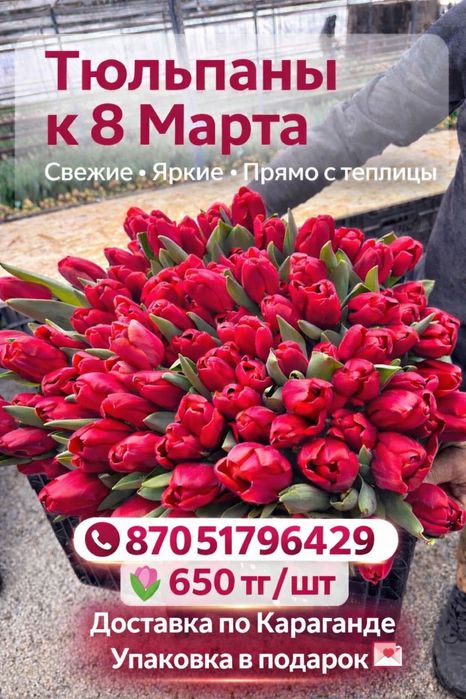 Тюльпаны свежие большие с доставкой