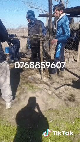 Executăm puturi denisipari.