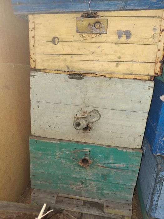Продам Улья для пчёл