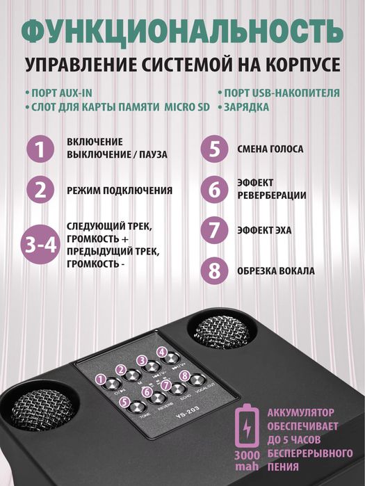 Караоке колонка с двумя микрофонами.