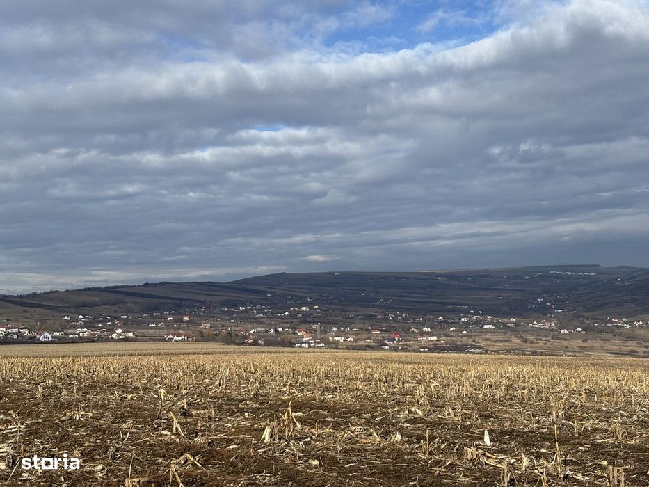 Teren extravilan zona Voronet