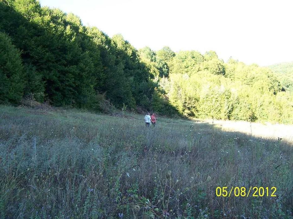 Teren de 6000 mp inconjurat de padure Stefanesti Arges