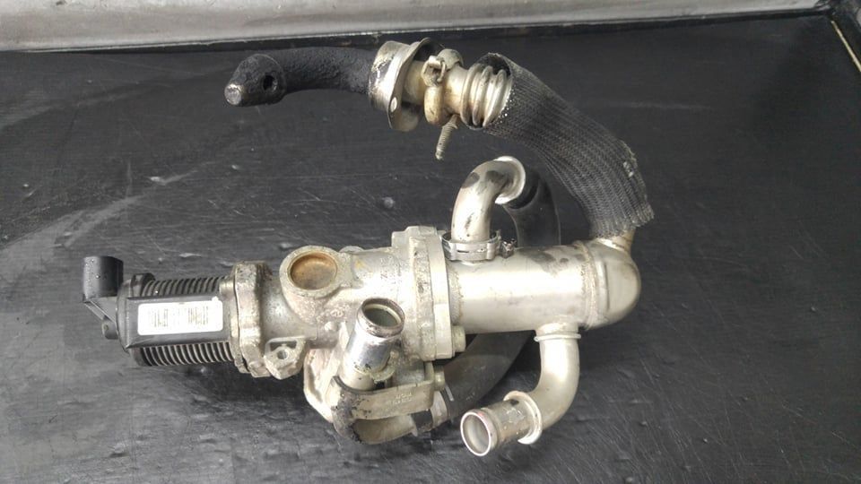 Egr racitor complet 1.3 mjt fiat grande punto 55201144