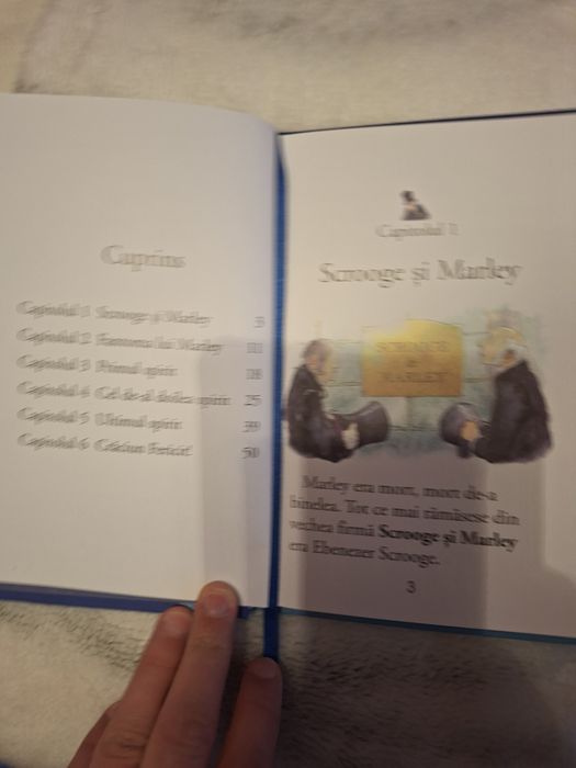 Vand cartea Poveste de Craciun
