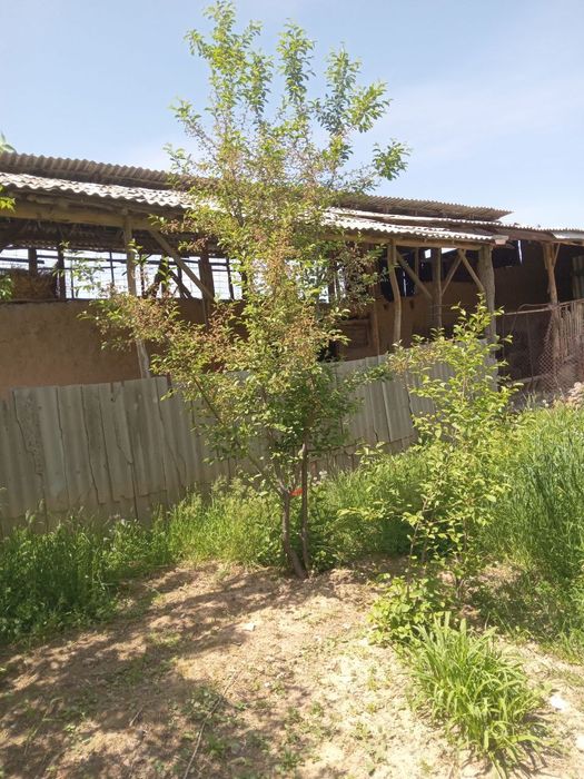 Uy sotiladi Krasnogorsk