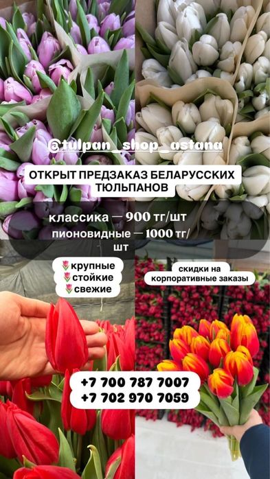Крупные тюльпаны