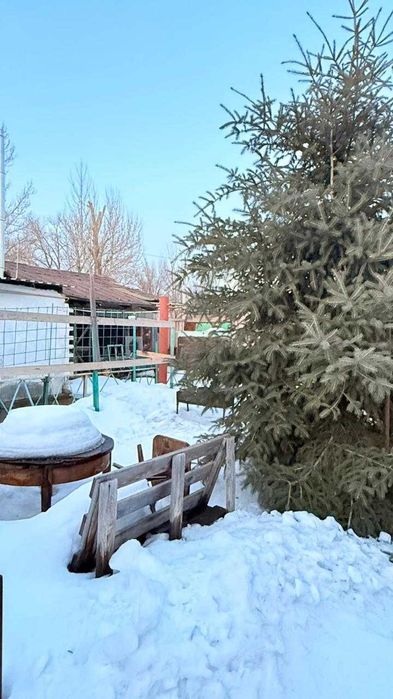 2 дома  на Кожсырьевом за 29 млн