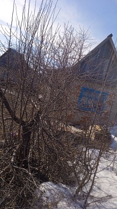 Продам дачный участок