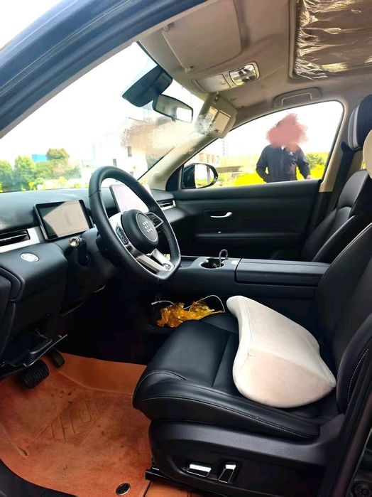 Dongfeng Landian E5 Plus, 165km