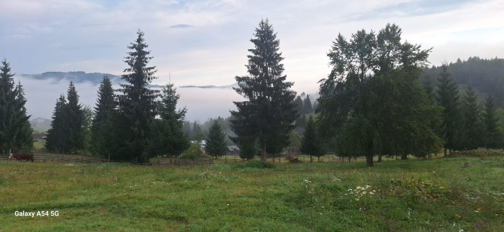 Teren intravilan 5.500 mp – parcelabil în 2 loturi, utilități, acces,