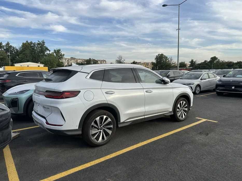 BYD Champion 605km, pod zakaz