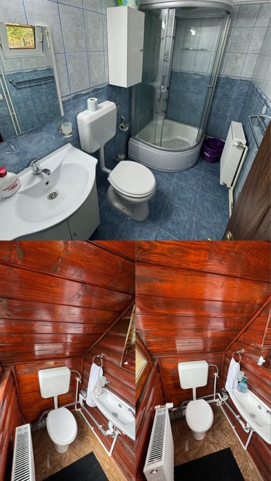 Cabana Matei • Arad • In mijlocul padurii