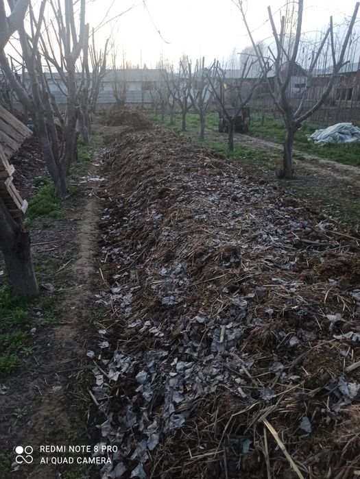 Биогомус ва чувалчанг