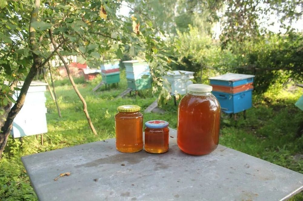 Продам мед разнотравье