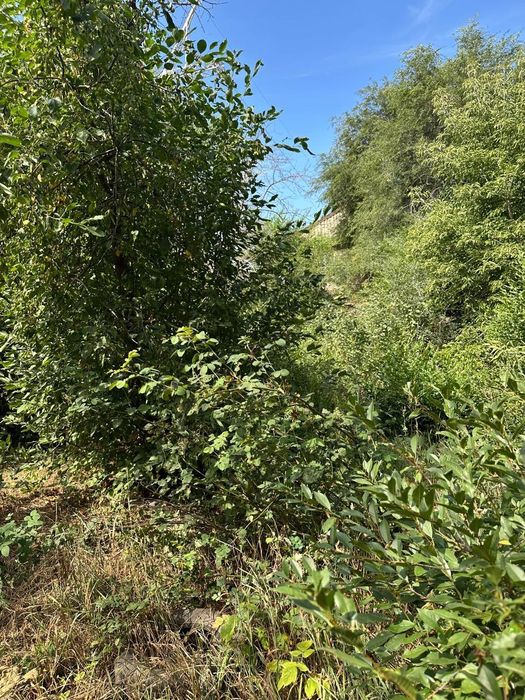 Продам дачный участок 12 соток