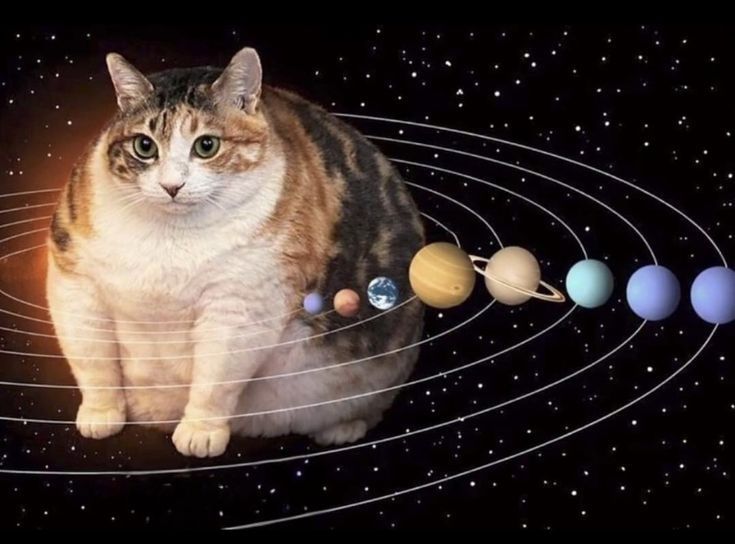 накладные ногти шымкент