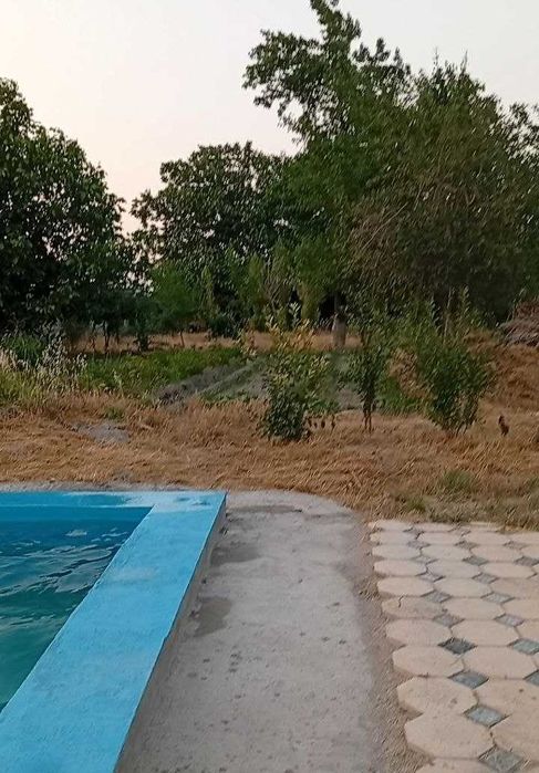 Продам Дачу 18 соток земли. Документы кадастр всё есть.