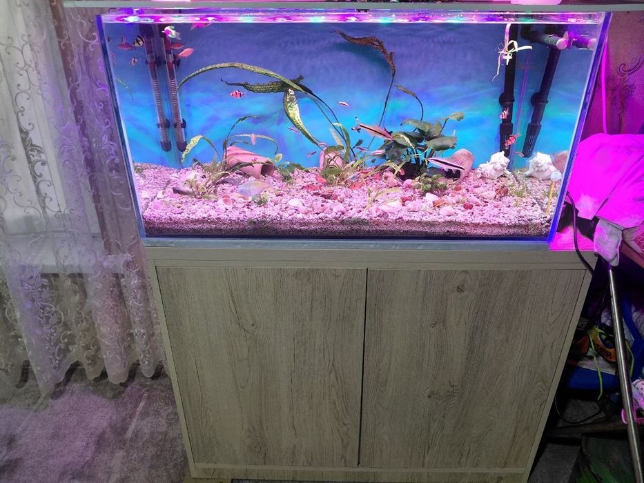 Akvarium  sotiladi