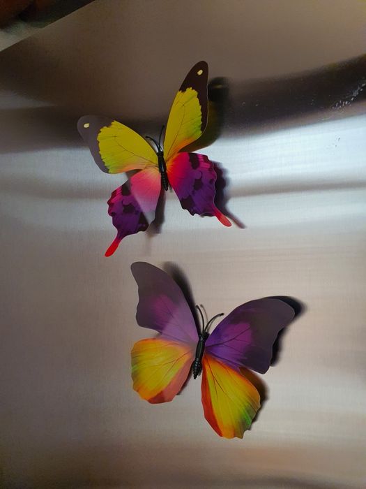 Магниты Бабочки 2шт.