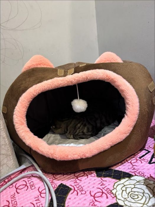 Мягкий дом для кошек и собак