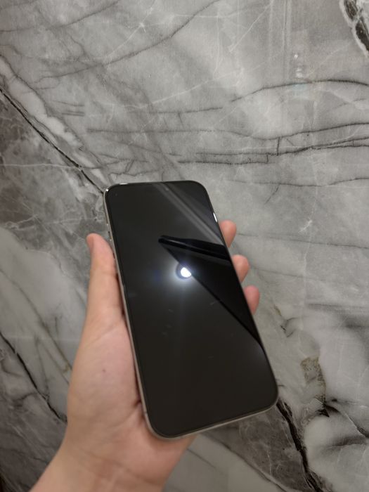 iphone 16 pro max 256