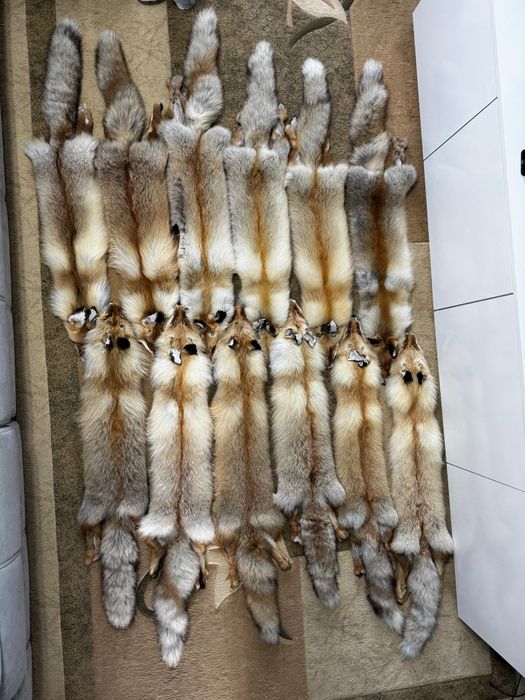 Мех  лисы натуральный.