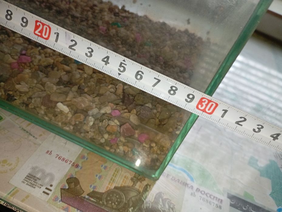 Аквариум не большой