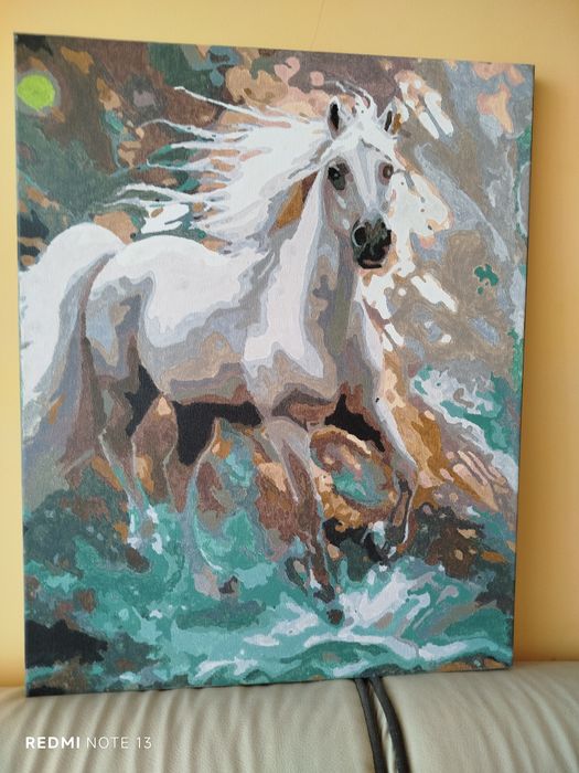 Ръчно нарисувана картина,с размер40/50см