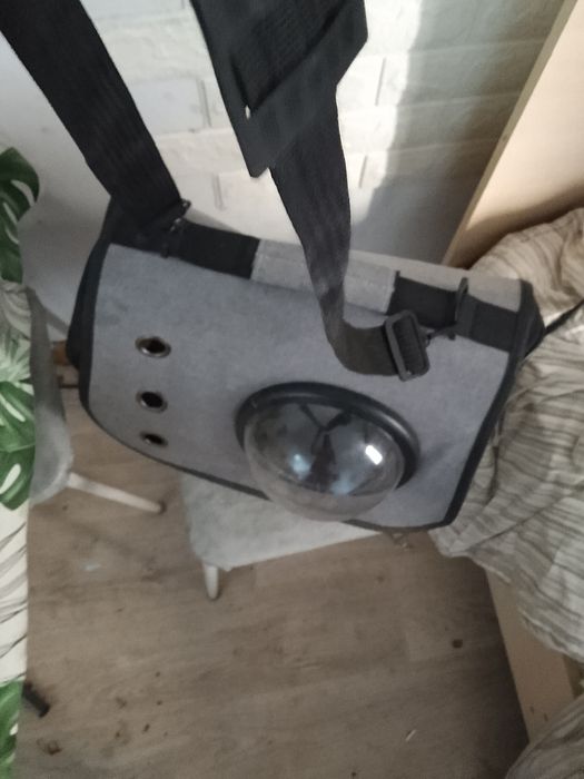 Сумка для кошек продам