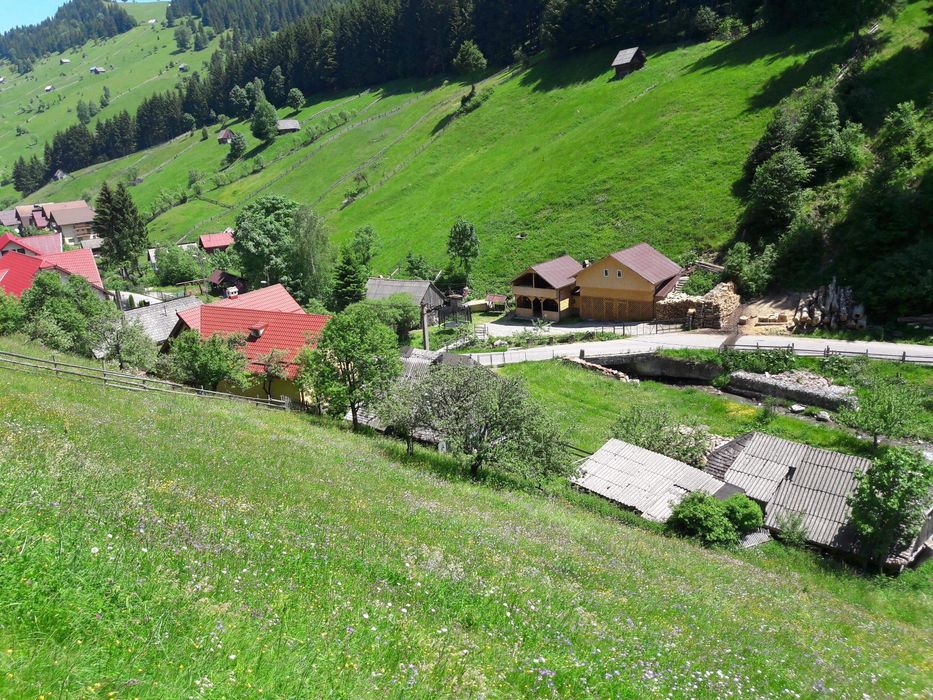 Casa bătrânească și teren pretabil casa vacanta