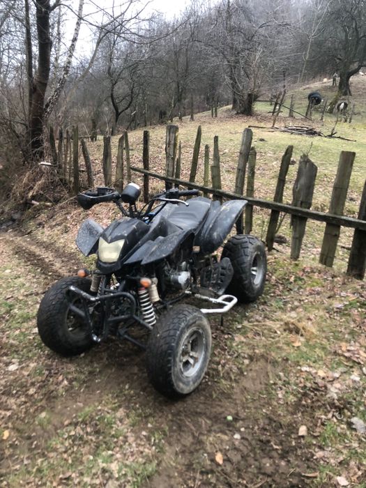 Dezmembrez atv bashan 250 cc