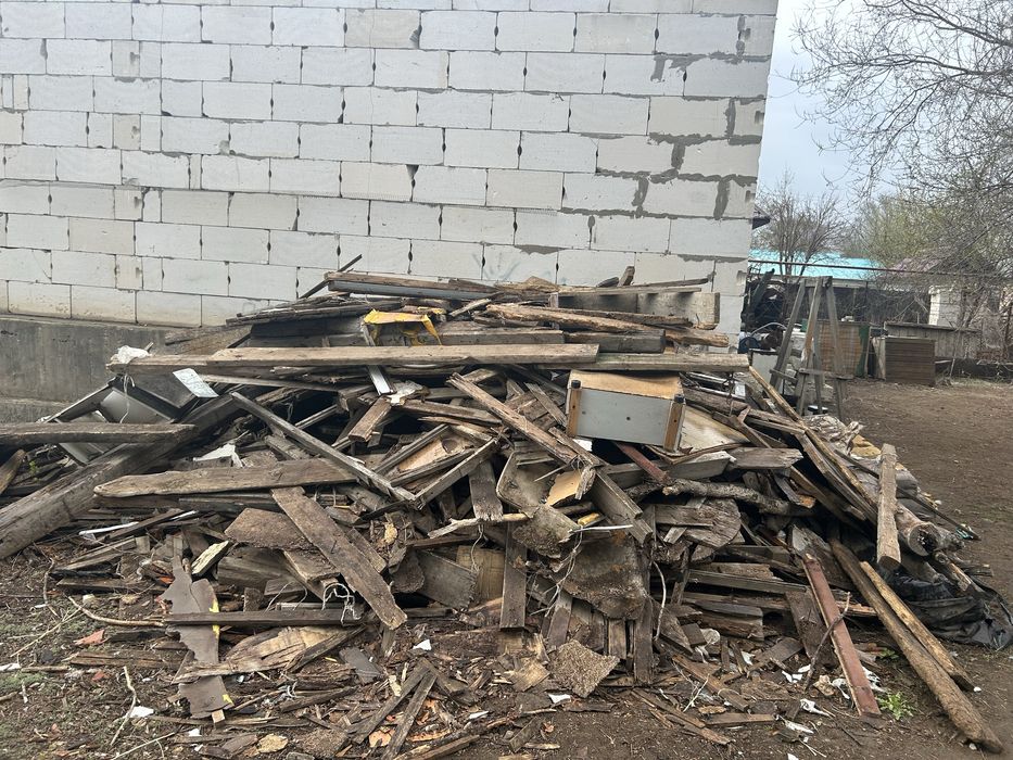 Дерево ағаш тегін