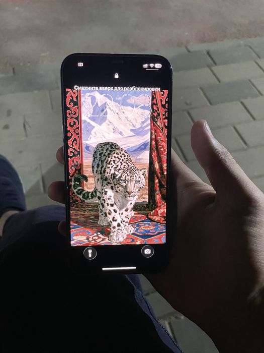 Iphone  12 pro max