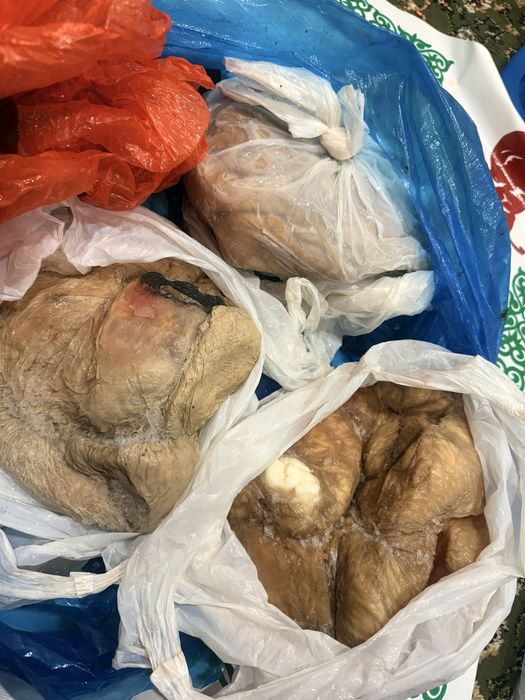 Қарта,Қарын жылқының таза