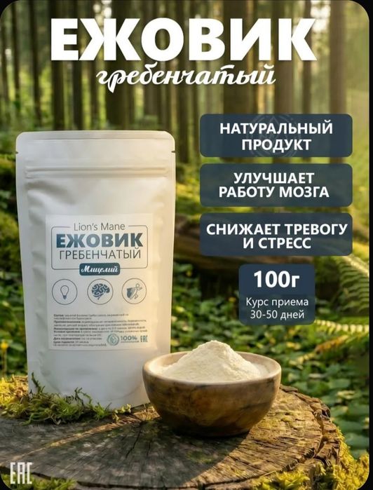 Ежовик гребенчатый мицелий, 100 грамм, порошок