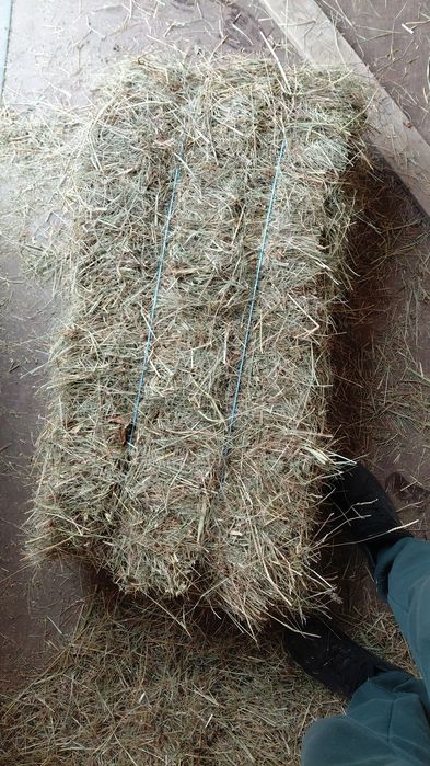 Baloti fan dreptunghiulari