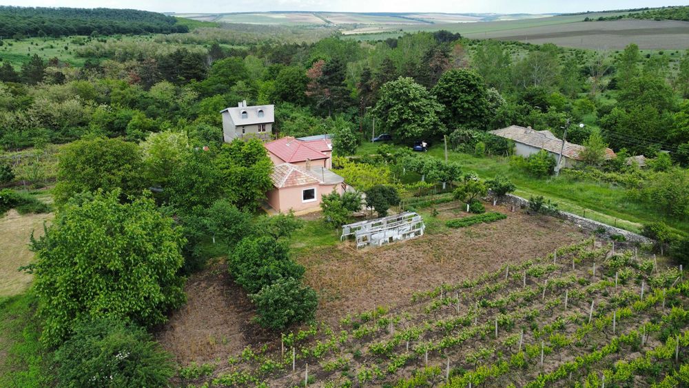 Продава се Къща в с. Владимирово, Област Добрич - 100 кв.м за 383 €/кв.м - Снимка #16