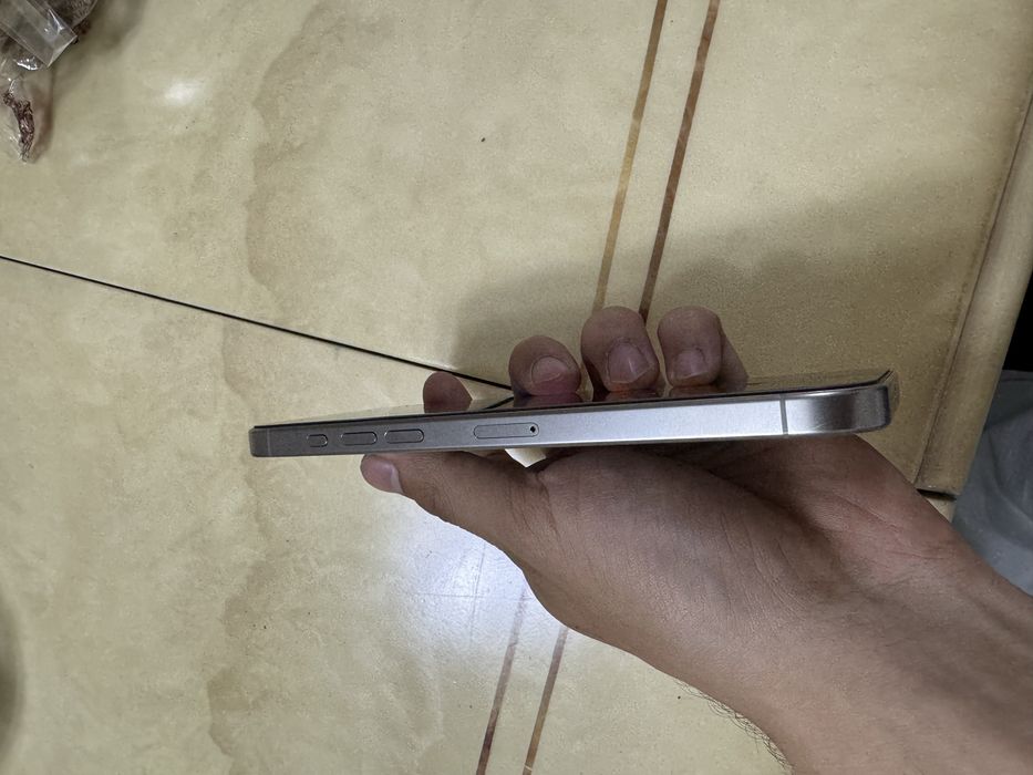 16 про мах 256гб