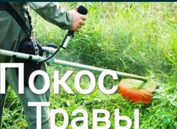 Косим траву окуратно дёшево и быстро 1 сотка 1500
