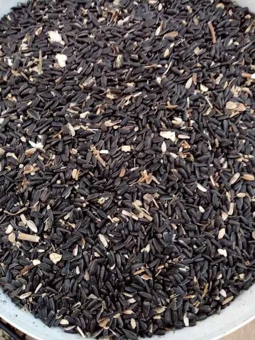 floarea soarelui 4 Tone