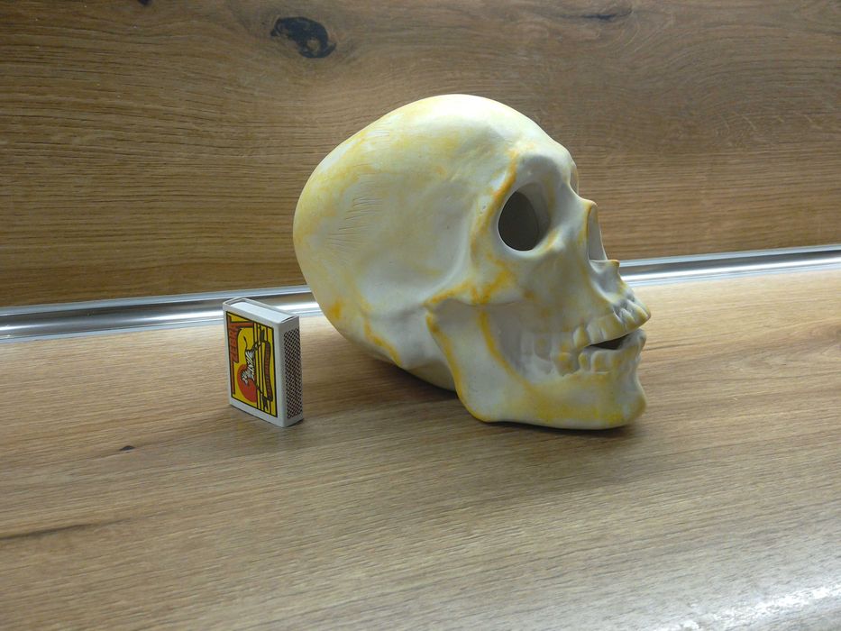 Гипсов череп - отлично запазен