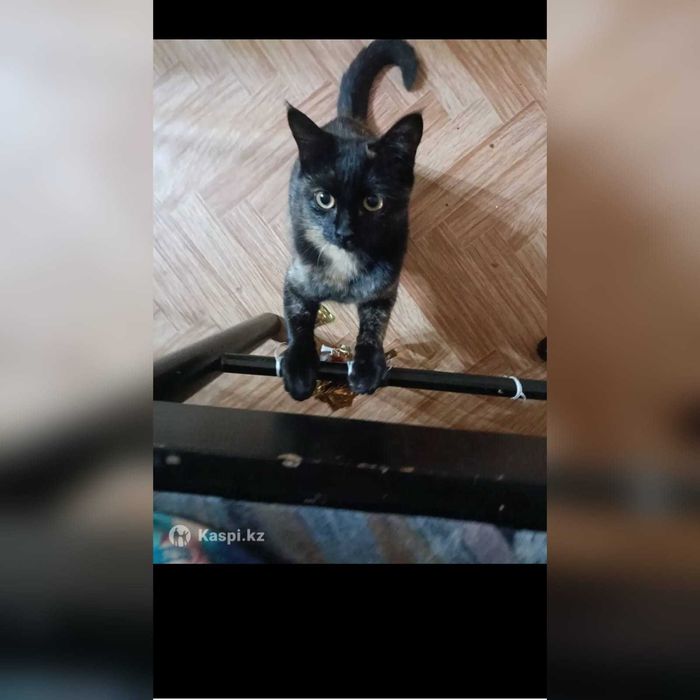 В самые ответственные руки