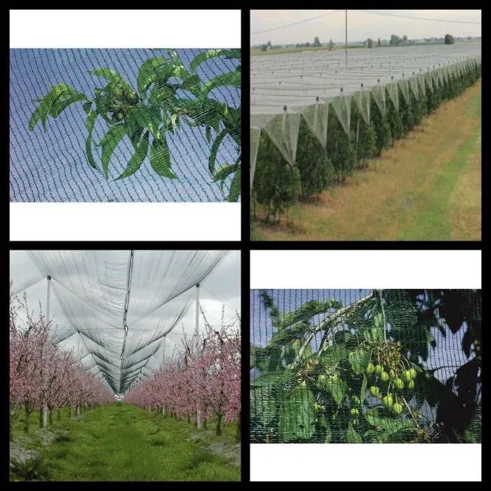 PLASA PROTECTIE ANTI-GRINDINA 3x100m=520lei; 4x100m= 810lei; 5x100m