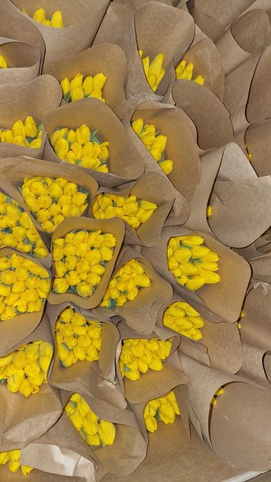 Тюльпаны оптом Астана