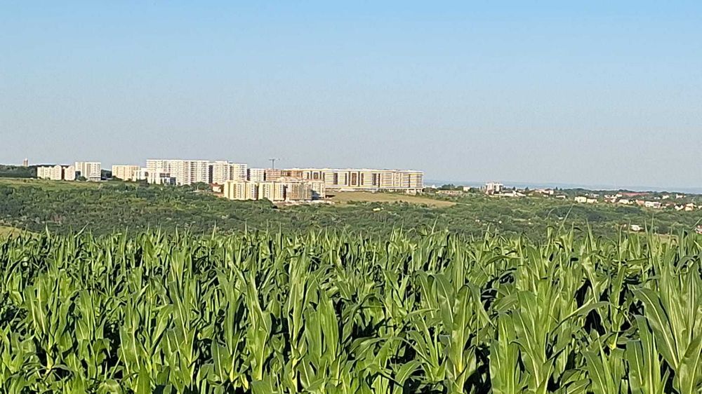 Terenuri de vanzare intravilan Rediu - 810 mp