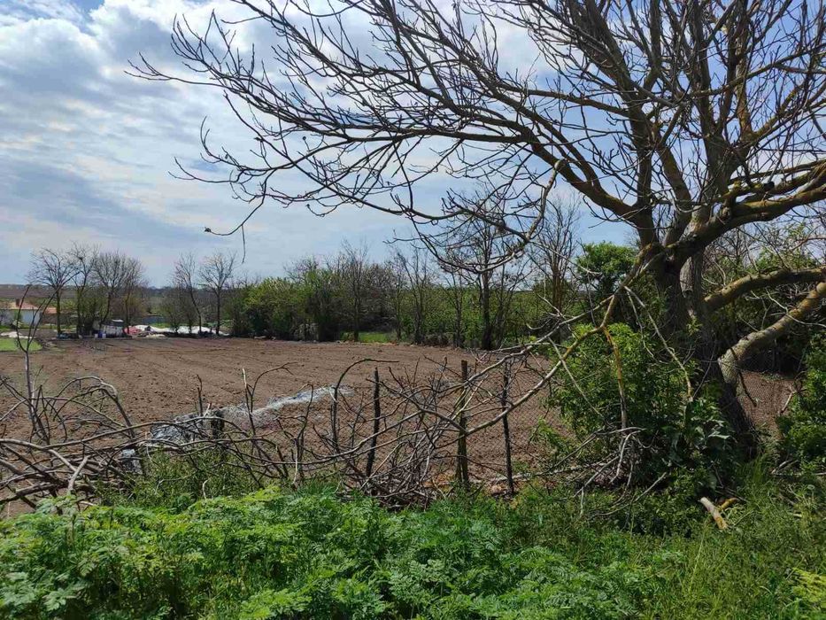 Парцел в Минково