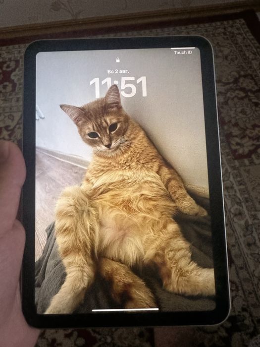Обмен IPad Mini 7 128gb на XBOX