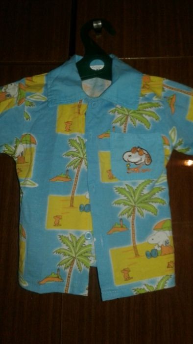 Рубашки и кастюм