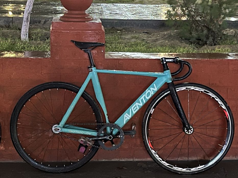 авентон матаро лов