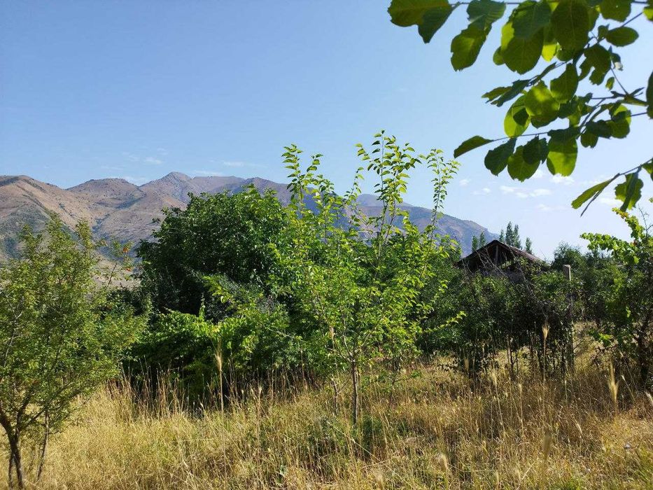 Срочно продается земельный участок с ОРДЕРом 9.54 сот {Нанай}